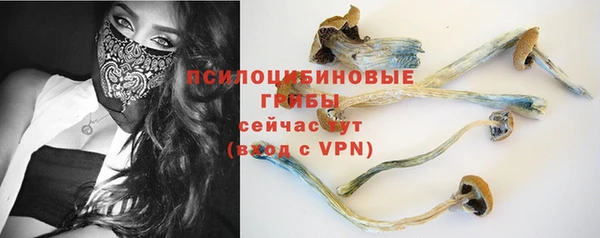 спиды Алексин