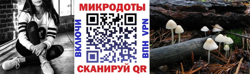 Галлюциногенные грибы Psilocybe  Борзя 